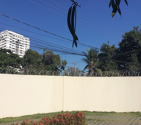 Gallery Image 15